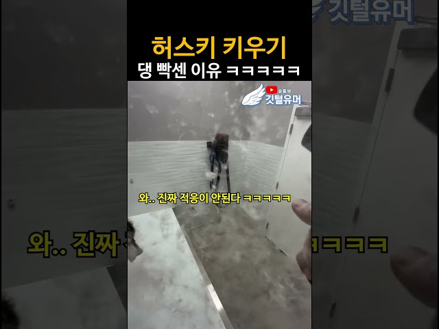귀여우니까 봐준다 ㅠㅠㅠㅠㅠㅠㅠㅠㅠㅠㅠ