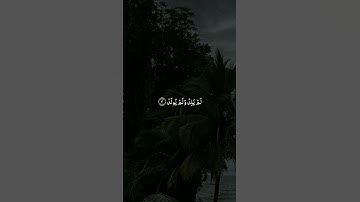 قُلۡ هُوَ ٱللَّهُ أَحَدٌ|سورة الإخلاص|القارئ ناصر القطامي.