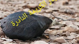 النيازك التي يجب عليك العثور عليه في رحلت بحتك عن الكنز شاهد لاتترك الفرصة لتفوتك