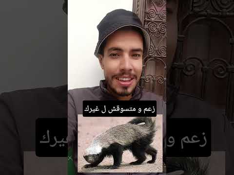 زعم و متسوقش خدمة اكسبلور كتب فلوس خدمة من الدار فرصةعمل ترند تعلم خدمة مدخول مليونير