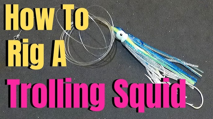 How to tie double assist hooks and attach to octopus skirt. 