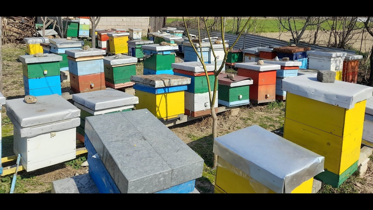 Prv proleten pregled 26.03.2022 Makedonija,Skopje