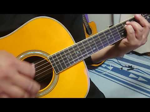 タイミング　ブラックビスケッツ　弾き語り