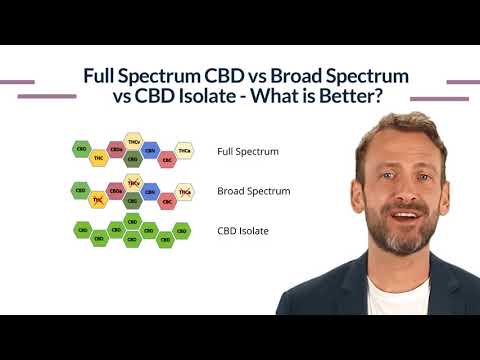 Full Spectrum CBD vs Broad Spectrum CBD vs CBD Isolate