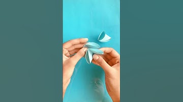 Paper circles flower circle ⭕️