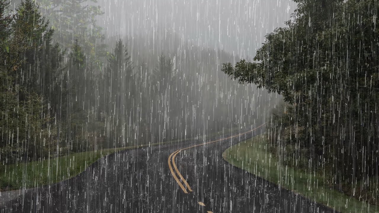 Adiós al Insomnio en 2 Miunutos con Fuertes Lluvias Retumbando en Camino Tranquilo en Bosque Brumoso