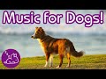 15 Hours of Music For Dogs: Instant Relaxation! Help your dog sleep!
