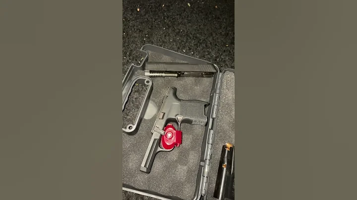 Rust Issue with P365