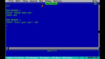 What is the function of REM| CLS| INPUT| PRINT statement in QBASIC in Nepali
