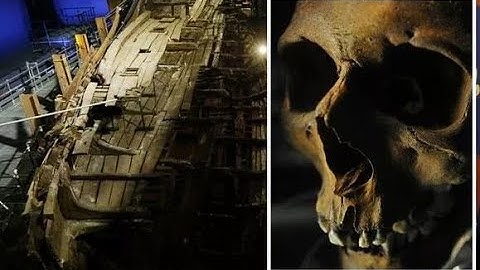 Archaeologists stunned by ‘multicultural’ Mary Rose crew ‘Reflected Tudor Britain’