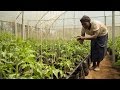 Climate-Smart Farming Helps a Community in Kenya Thrive in the Face of Climate-Change