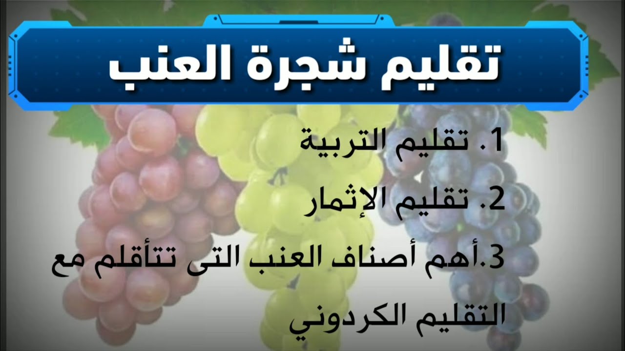 تقليم شجرة العنب: تقليم تكوين و إثمار على النمط الكردوني (الحبل) مع تطبيقات على أصناف العنب