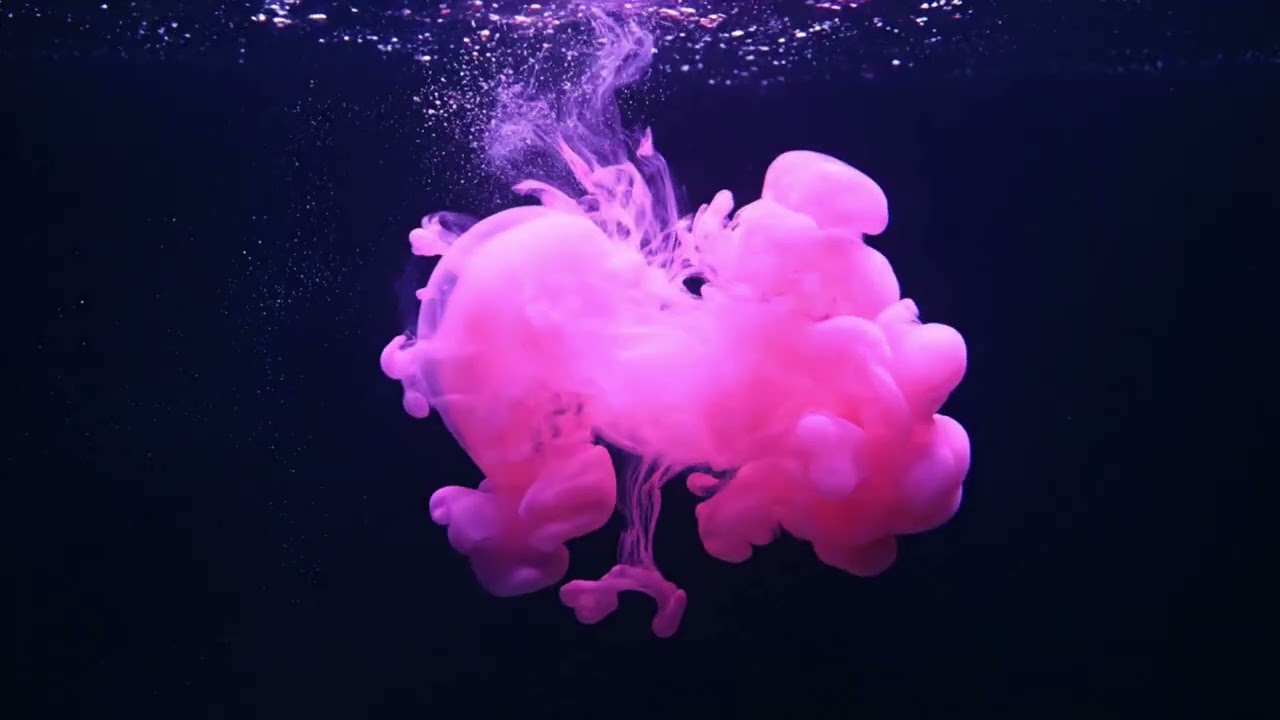 FLUID SURREALISM: An Audiovisual Experience | PARAKH ART(Жидкий Сюрреализм: Аудиовизуальный опыт)