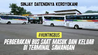 SINAR JAYA DATANGNYA KEROYOKAN - HUNTING BUS TERMINAL SAWANGAN