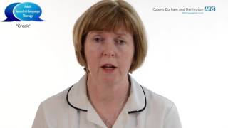 Adult Speech and Language -    Creak Adult Speech And Language Therapy Vocal Function Exercises