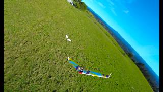 Chasing Wings, ImpulseRC Apex 6s