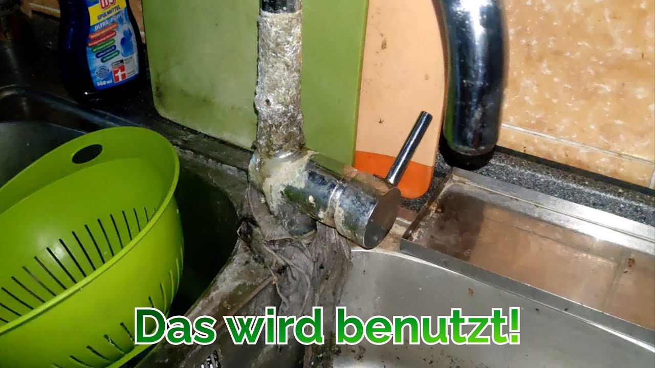 Der EKEL-DÖNER Berlins ...