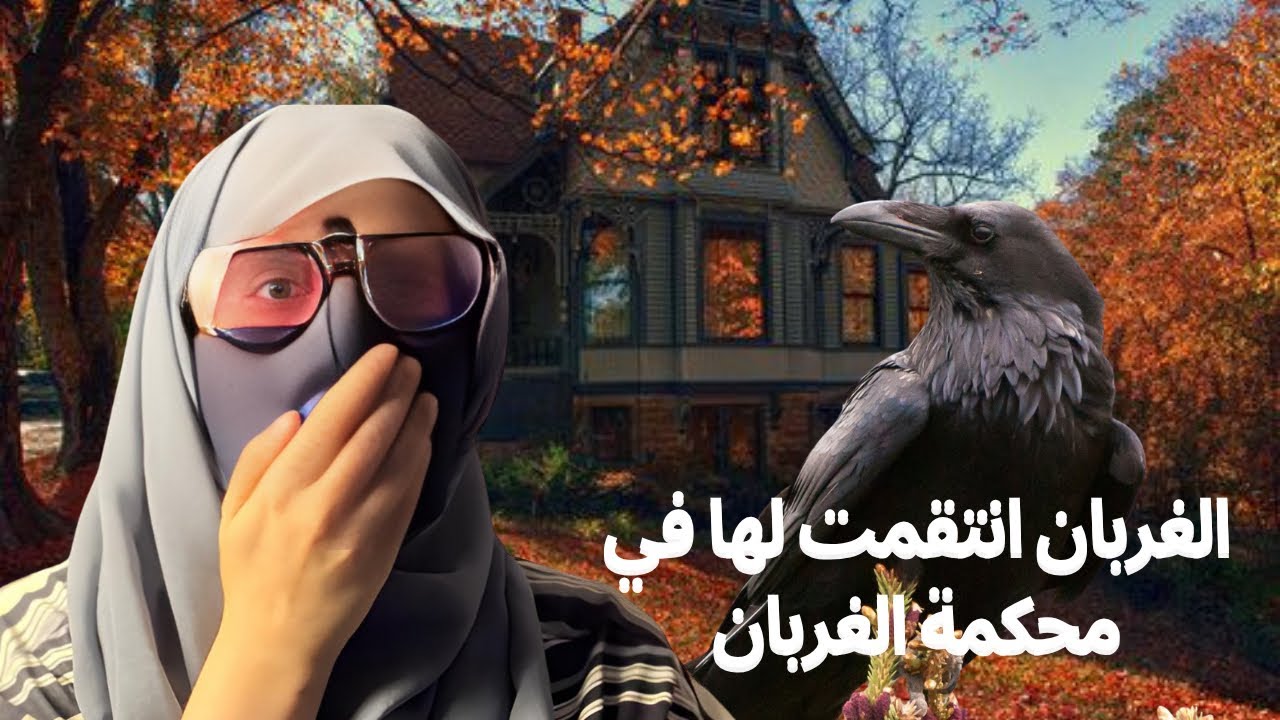 الغربان انتقموا لها في محكمة الغربان!!!