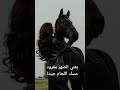 نصائح لركوب الخيل مع صور بروفايل بنات مع الخيل 