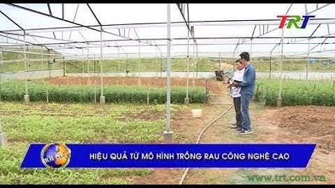 Hiệu quả tư mô hình trồng rau công nghệ cao