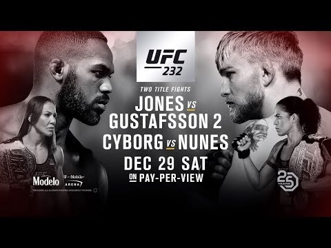 UFC 232: Jones vs Gustafsson 2