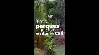 🌳 Tres parques para visitar en Cali