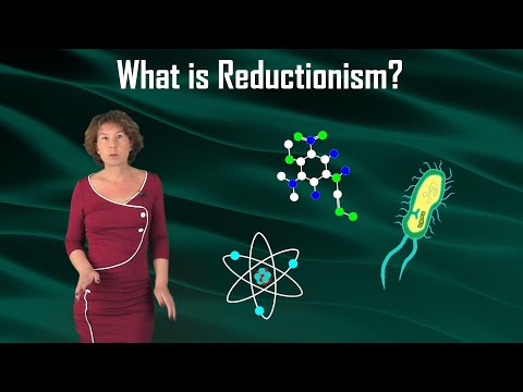 What is Reductionism?