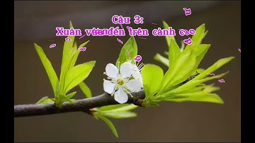 T19: Học hát Hoa lá mùa xuân- Lớp 2