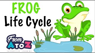 Best Learning Videos for Kids |  Frog Life Cycle for Kids | From AtoZ  Learning