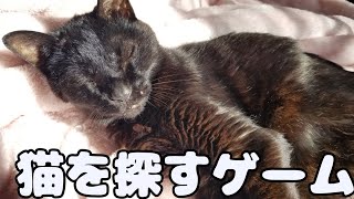 猫を探すゲーム　前編 screenshot 1