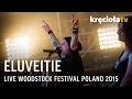Capture de la vidéo Eluveitie Live Woodstock Festival 2015 (Full Concert)