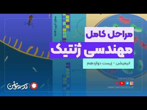 تصویری: چه فناوری برای مهندسی ژنتیک استفاده می شود؟