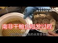 南非干鲍鱼泡发过程 —【Maybel 话你知】Africa Abalone soaking method