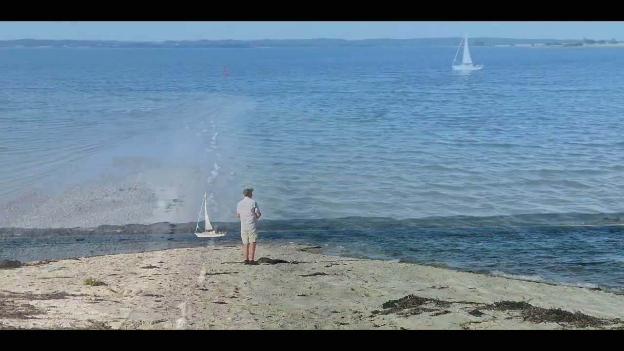 Borre Knob im Horsens Fjord