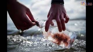 Toxic Algae Found On Basque Coast Should Swimmers Be Worried