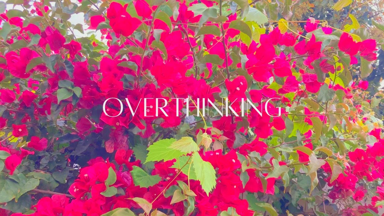 Tyler J. Thierry x ronall - Overthinking (Prod. Tyler J. Thierry)