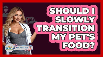 Should I Slowly Transition My Pet