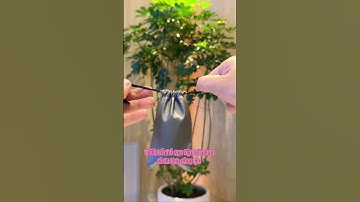 Máy cạo râu với thiết kế nhỏ gọn và thông minh, tích hợp nhiều tính năng tiện ích