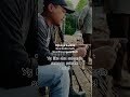 #shorts #automobile #funny #shortvideo #lyrics #quotes