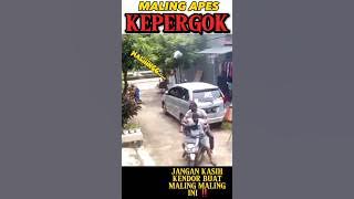 MALING APES ‼️ KEPERGOK WARGA #mhstv #shortsvideo