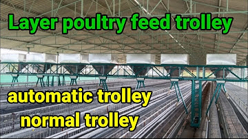 Automatic Layer feed trolley system | Layer poultry feed trolley | feed trolley