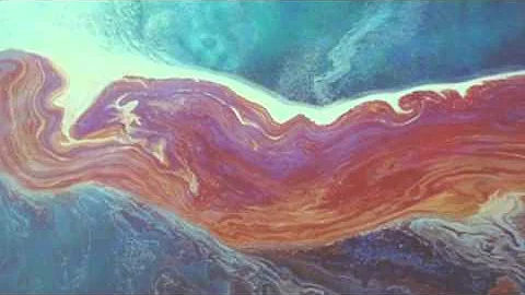 Oil Spill Anniversary Conference.wmv