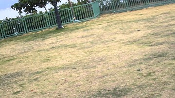 V120D02S Flying with New Look 18Dec2011 c