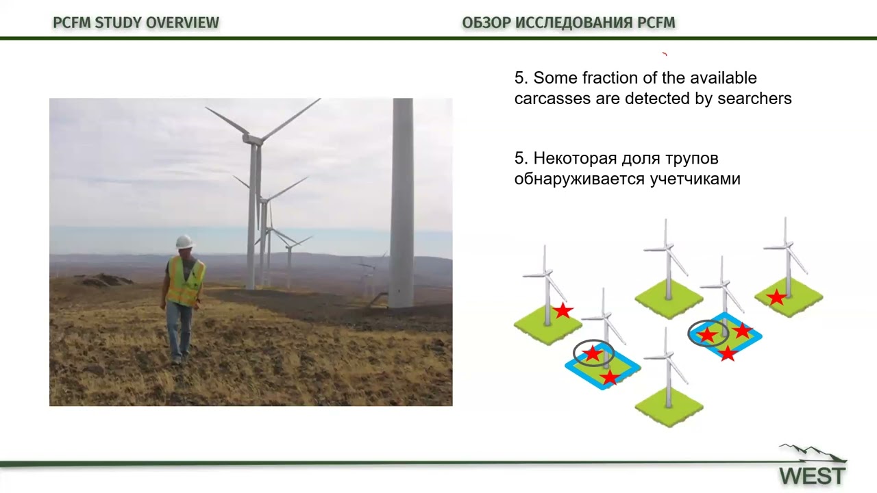 "Post-construction fatality monitoring: data analysis"
