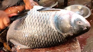 Amazing Huge Katla Fish Cutting Live in The Fish Market - Fastest Cutting Skills