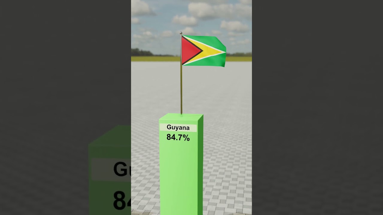 Top 10 Countries with the Most Forest Cover