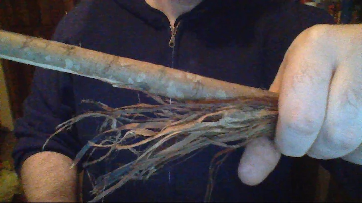 Rudiger Roll video 19 : Poplar bark (Tree bark) Poplar Fire Roll Friction Fire