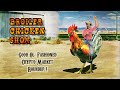 Crypto  stock trading community show  04212024  the broiler chickens show