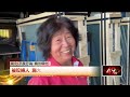 鹿港流浪犬問題嚴重！ 民眾遭攻擊受傷、誘捕籠被打開增捕捉困難