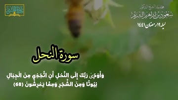 تلاوة عطرة من سورة النحل تراويح عام ١٤٤١ #سعود_الشريم